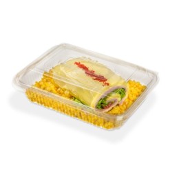 Estuche 147 PET con tapa bisagra (27 x 20,5 h: 7,5 cm) x 50 unidades