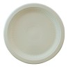 Plato BIO Fécula de Maíz Chico (15 cm) x 50 unidades