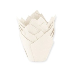 Tulipa Muffin Blanca 42/72 mm (Diámetro 5 cm) pack x 180 unidades