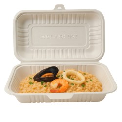 Estuche BIO F de Maíz con tapa 600 ml (21 x 13 x 5,5 cm) x 100