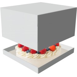 Caja Torta Cartulina Blanca + Tapa 25 x 25 h: 15 cm (x 10 unidades)