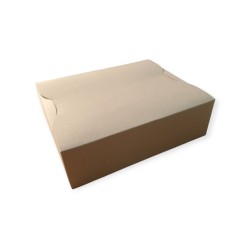 Caja Delivery Cartulina BIO 18 25 x 20 x 7,5 cm (x 10 unidades)