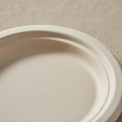 Plato BIO Bagazo de Caña Natural 23 cm (pack x 50 unidades)