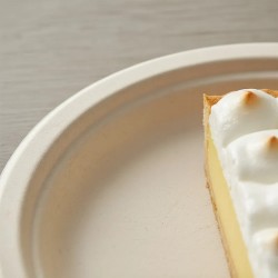 Plato BIO Bagazo de Caña Natural 23 cm (pack x 50 unidades)