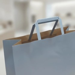 Bolsa *Plata* 30 x 12 x 41 cm con manija (Mod Acuario)